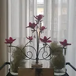 Universal Boutique 4*