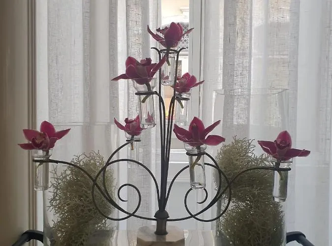 Universal Boutique 4*