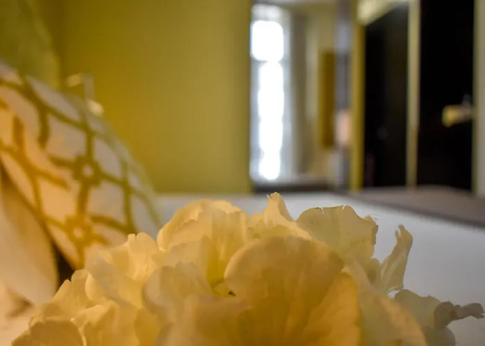 Universal Boutique Hotel