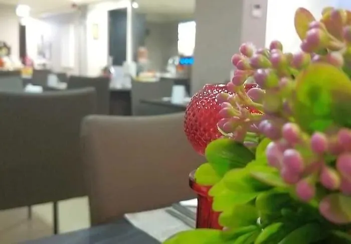 环球精品酒店 菲盖拉-达福什