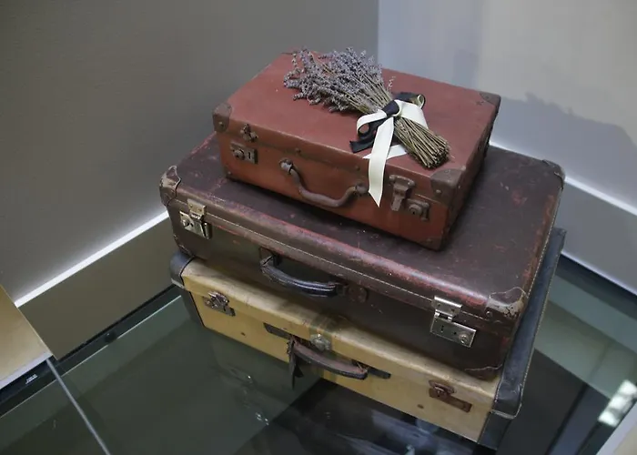 环球精品酒店 4* 菲盖拉-达福什