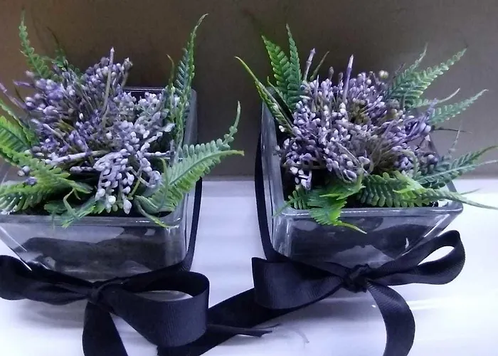 Universal Boutique Hotel Figueira da Foz